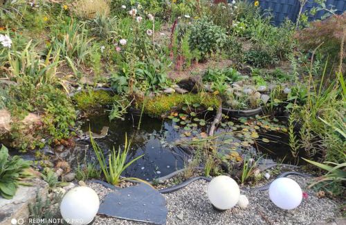 Vaihingen an der Enz Apartment | Ferienwohnung Gartenblick