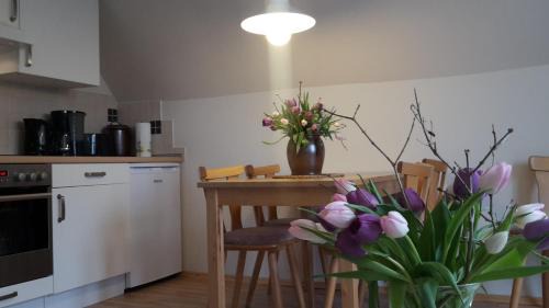 Ostrau Apartment | Ferienwohnung Geißler