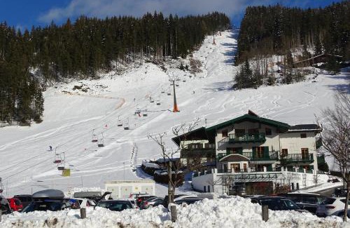 Eben im Pongau Apartment | Ferienwohnung Grünwald