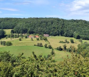 Laaben bei Neulengbach Apartment | Ferienwohnung Großleiten Alm