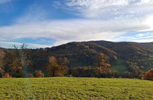 Laaben bei Neulengbach Apartment | Ferienwohnung Großleiten Alm