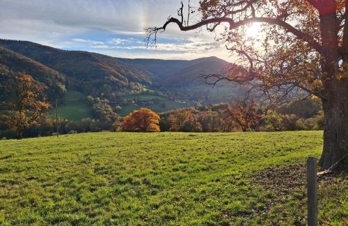 Laaben bei Neulengbach Apartment | Ferienwohnung Großleiten Alm