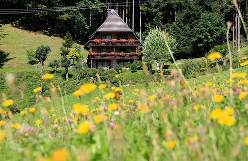 Oberwolfach Apartment | Ferienwohnung Haupthaus Typ II, max. 6 Personen