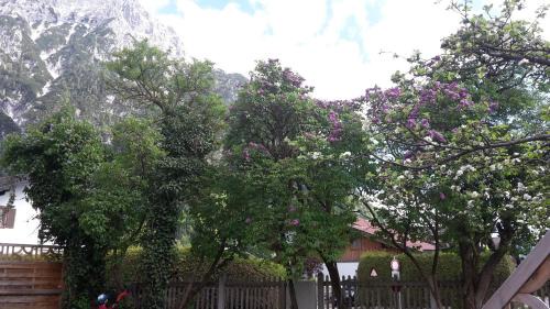 Mittenwald Apartment | Ferienwohnung Haus Bergesruh
