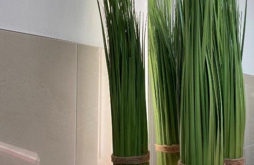 Dummer Apartment | Ferienwohnung Haus Ossenkopp