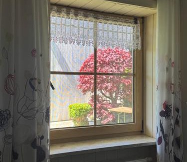 Wegscheid Apartment | Ferienwohnung Haus Veronika
