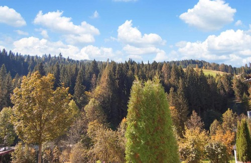 Wagrain Apartment | Ferienwohnung In Wagrain