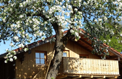 Bad Endorf Apartment | Ferienwohnung Jollinger Stadl, 39 qm DG, Kombinierter Wohn- & Schlafraum
