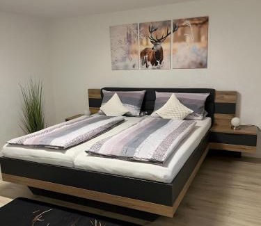 Buchet Apartment | Ferienwohnung Köppl