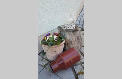 Cranzahl Apartment | Ferienwohnung Lindner