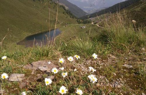 Kolsassberg Apartment | Ferienwohnung Maria & Luis