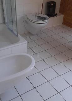 Niederemmel Apartment | Ferienwohnung mit herrlichem Moselblick