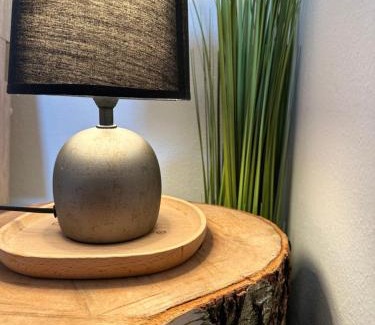 Falkenstein Apartment | Ferienwohnung mit Terrasse - Hunde willkommen