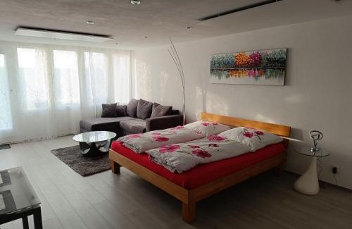 Sasbachwalden Apartment | Ferienwohnung Sasbachwalden H2 Ap3 mit beheiztem Innenpool und Sauna