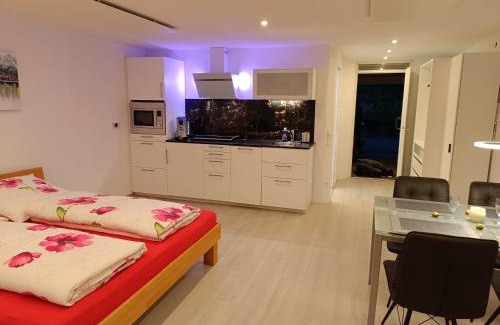 Sasbachwalden Apartment | Ferienwohnung Sasbachwalden H2 Ap3 mit beheiztem Innenpool und Sauna