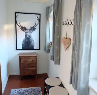 Winkl Apartment | Ferienwohnung Stöckl