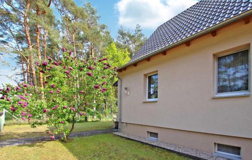 Torgelow-Hollanderei Apartment | Ferienwohnung Torgelow