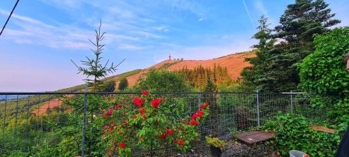 Berlar Resort | Ferienwohnung Traumblick