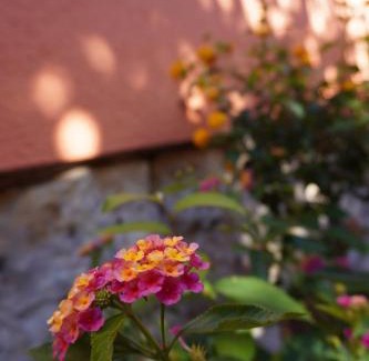 Struppen Apartment | Ferienwohnung Ufer - Urlaub in der Sächsischen Schweiz