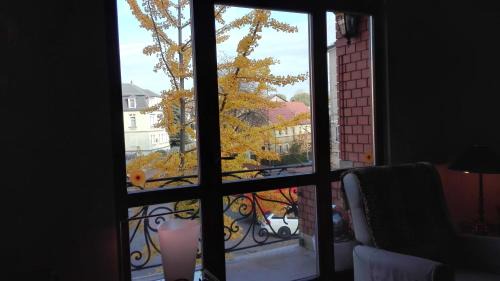 Radebeul Apartment | Ferienwohnung Villa Fiedler