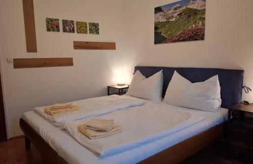 Obertauern Apartment | Ferienwohnung Zirbe
