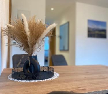 Steinberg am Rofan Apartment | Ferienwohnungen Moser