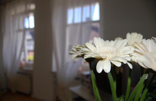 Detmold Apartment | Ferienwohnungen Café Cup
