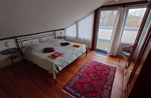 Suedvorstadt Apartment | Ferienwohnungen Villa Haniel Sophie