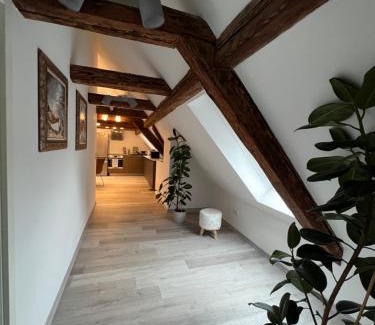 Oberkotzau Apartment | Ferienwohnungen Yanev