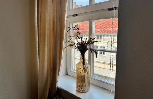 Arnstadt Apartment | Ferienwohungen und Apartments Haus zum Schwan