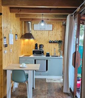 Ponte de Lima Ski Chalet | Fernandes Guest House Green Bungalow