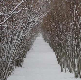Sant'Alfio House | Feudo Magazzeni Etna