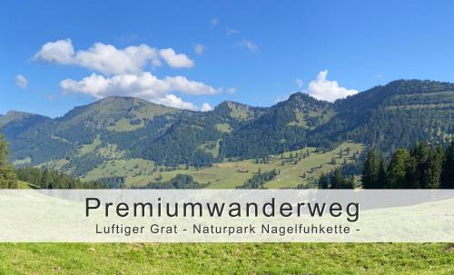 Thalkirchdorf Apartment | FeWo "Fräulein-Fink" bei Oberstaufen im Allgäu - Alpsee 5 Min - neue großzügige Südterrasse mit Garten - gratis WLAN - Waschmaschine - Garage mit Wallbox