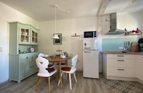 Todtnauberg Apartment | Fewo Herzgrün nähe Skilift & Loipe mit Sauna im Haus und Traumblick E-Ladestation