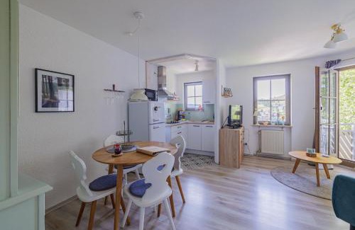 Todtnauberg Apartment | Fewo Herzgrün nähe Skilift & Loipe mit Sauna im Haus und Traumblick E-Ladestation