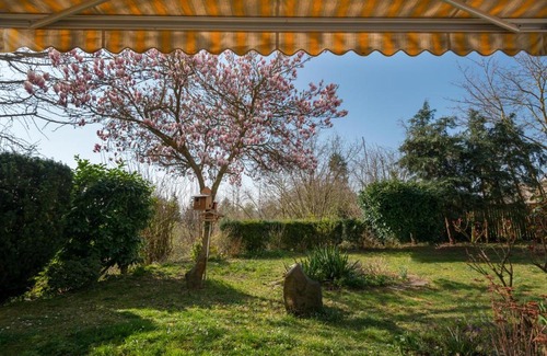 Mendig Apartment | FeWo Oasis