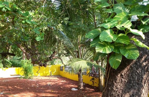 Benaulim House | Feyona Guest House