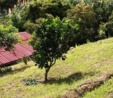 Guaduas Other | Finca el Okaso