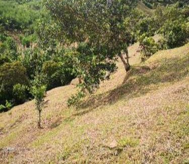 Guaduas Other | Finca el Okaso
