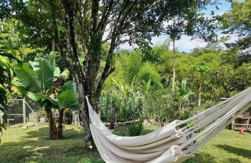 Circasia House | Finca Hotel La Venia Bendita Quindio
