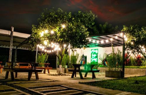 Armenia Hotel | Finca Hotel Palmas Del Edén