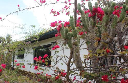 Villa de Leyva House | Finca La Buganvilia