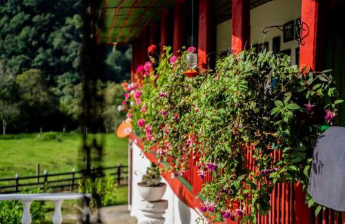Salento Other | Finca La Playa Ecohotel - Experiencia Campestre -