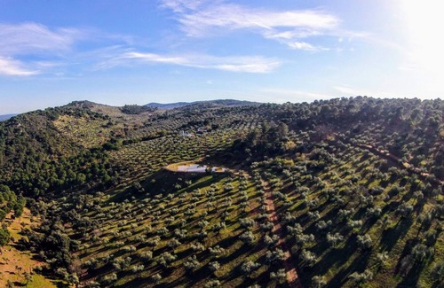 Alcaracejos Villa | FINCA MOLINO DON ZOILO 18 - Magnificent country house with private pool and free WiFi.
