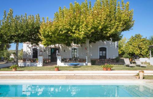 Montilla Villa | Finca Olivo Llorón