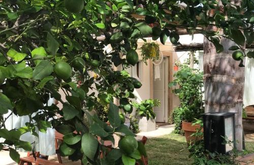 Alta Gracia Apartment | FINCA URBANA departamentos