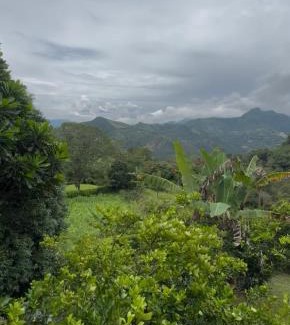 La Vega Other | Finca Villa Julia