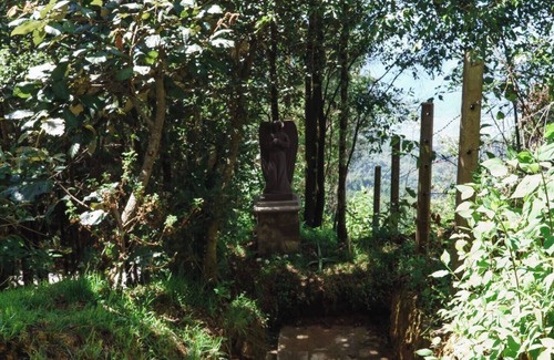 Nogales Cabin | Find Your Perfect Mountain Retreat at House Earth