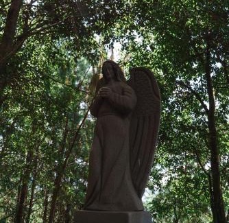 Nogales Apartment | Find Your Perfect Mountain Retreat at House Sun