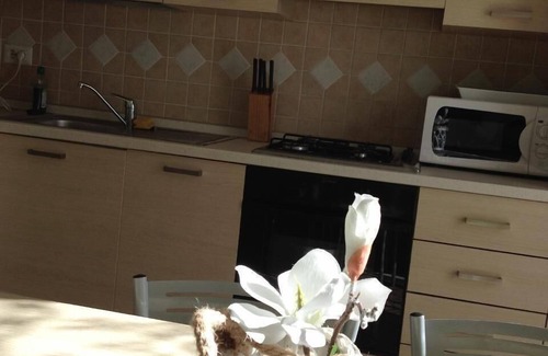 Tiarno di Sotto Apartment | Flat 1 with mountain view